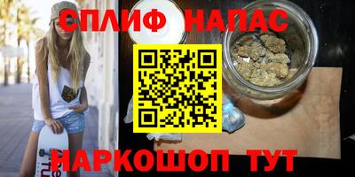 стаф Камышлов