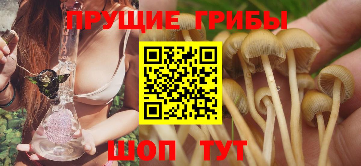 Псилоцибиновые грибы мухоморы  Вход с VPN  Кунгур 